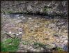 Filename=f-la-hiruela-jarama-d01.jpg
Filesize=422KB
Dimensions=1065x814
Date added=Apr 16, 2006 f-la-hiruela-jarama-d01.jpg