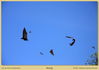 Filename=mm_riung-IMG_0361.JPG
Filesize=376KB
Dimensions=1996x1416
Date added=Mar 25, 2010 mm_riung-IMG_0361.JPG