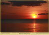 Filename=mm_ankermi-IMG_0718_thumb.jpg
Filesize=422KB
Dimensions=1996x1416
Date added=Mar 29, 2010 mm_ankermi-IMG_0718_thumb.jpg