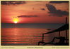 Filename=mm_ankermi-IMG_0722_thumb.jpg
Filesize=490KB
Dimensions=1996x1416
Date added=Mar 29, 2010 mm_ankermi-IMG_0722_thumb.jpg