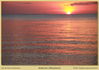 Filename=mm_ankermi-IMG_0724_thumb.jpg
Filesize=642KB
Dimensions=1996x1416
Date added=Mar 29, 2010 mm_ankermi-IMG_0724_thumb.jpg