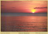Filename=mm_ankermi-IMG_0725_thumb.jpg
Filesize=527KB
Dimensions=1996x1416
Date added=Mar 29, 2010 mm_ankermi-IMG_0725_thumb.jpg