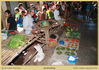 Filename=mm_anakalang-IMG_0886_thumb.jpg
Filesize=787KB
Dimensions=1996x1416
Date added=Mar 29, 2010 mm_anakalang-IMG_0886_thumb.jpg