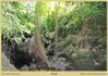 Filename=mm_bali-IMG_1088.JPG
Filesize=1265KB
Dimensions=1996x1416
Date added=Mar 31, 2010 mm_bali-IMG_1088.JPG