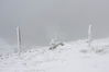 Filename=IMG_2420_thumb.jpg
Filesize=269KB
Dimensions=1936x1288
Date added=Jan 30, 2010 IMG_2420_thumb.jpg
