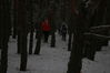 Filename=IMG_2450_thumb.jpg
Filesize=372KB
Dimensions=1936x1288
Date added=Jan 30, 2010 IMG_2450_thumb.jpg