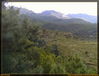 Filename=f-17-DALI005.JPG
Filesize=131KB
Dimensions=832x636
Date added=Jul 09, 2005 f-17-DALI005.JPG