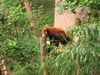 Filename=IMG_0227.JPG
Filesize=643KB
Dimensions=1024x768
Date added=Sep 14, 2005 IMG_0227.JPG