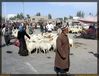 Filename=f-khotan-mercado-d07.jpg
Filesize=201KB
Dimensions=1065x814
Date added=Jan 09, 2006 f-khotan-mercado-d07.jpg