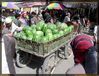 Filename=f-khotan-mercado-d42.jpg
Filesize=268KB
Dimensions=1065x814
Date added=Jan 09, 2006 f-khotan-mercado-d42.jpg