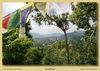 Filename=mm_dhulikhel-w_IMG_7228_thumb.jpg
Filesize=376KB
Dimensions=1084x772
Date added=Sep 16, 2011 mm_dhulikhel-w_IMG_7228_thumb.jpg