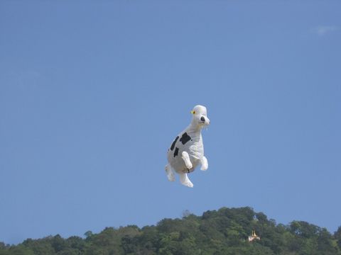 Festival de globos de Taunggyi