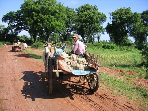 A las cuevas de Hpo Win en Monywa