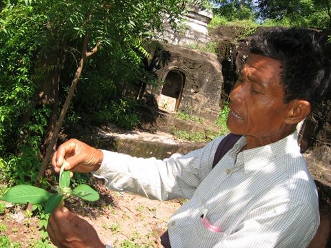 A las cuevas de Hpo Win en Monywa