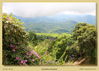 Filename=mm_gorkha-w_IMG_7265.jpg
Filesize=360KB
Dimensions=1084x774
Date added=Sep 19, 2011 mm_gorkha-w_IMG_7265.jpg
