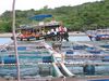 Filename=Nha-Trang_015.jpg
Filesize=208KB
Dimensions=1600x1200
Date added=Oct 17, 2007 Nha-Trang_015.jpg