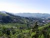 Filename=coonoor020.jpg
Filesize=301KB
Dimensions=1024x768
Date added=Dec 05, 2008 coonoor020.jpg
