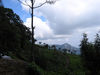 Filename=coonoor097.jpg
Filesize=156KB
Dimensions=1024x768
Date added=Jan 10, 2009 coonoor097.jpg