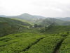Filename=DSCN1109.JPG
Filesize=954KB
Dimensions=2048x1536
Date added=May 23, 2006 DSCN1109.JPG