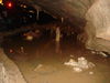 Filename=DSC08395.JPG
Filesize=877KB
Dimensions=1632x1224
Date added=Jul 19, 2010 DSC08395.JPG