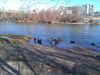 Filename=IMG_1322.JPG
Filesize=802KB
Dimensions=1600x1200
Date added=Feb 16, 2012 IMG_1322.JPG